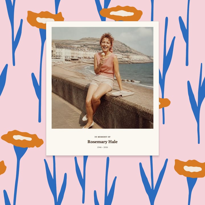 Orange flowers on pink, framed photo cover